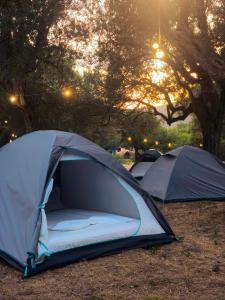 Camping Qeparo