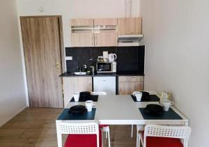 Brand New studio apartment #12 near center with FREE street parking