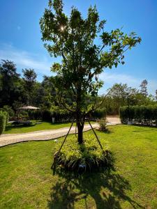 Hornbill Pool Villas 1