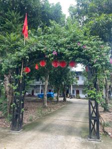 Thái Bình Xanh Bungalow