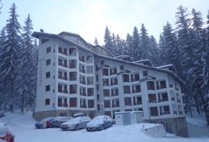 Ski & Holiday Apartments in Pamporovo