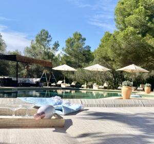 Pine tree Finca Espiga