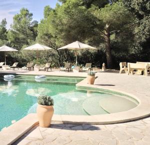 Pine tree Finca Espiga