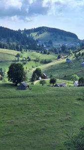 Căsuța de la munte Fundata 1