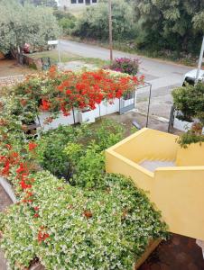 Casa Bouganville img1