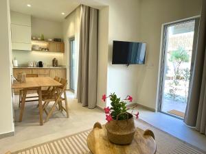 MIRA MARE - Apartments 2 & 3