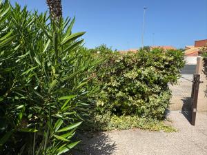 HOLIDAYLAND VILLA 203 RESIDENCE LES JARDINS DULYSSE CLIM BOX INTERNET