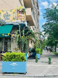 79 - Cozy Flat - 1BR - Jewel of Calea Victoriei