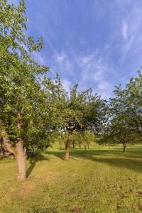 3 Rivers Camping pitches - bring your own tent or camper & Glamping hut, tent