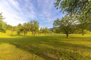 3 Rivers Camping pitches - bring your own tent or camper & Glamping hut, tent