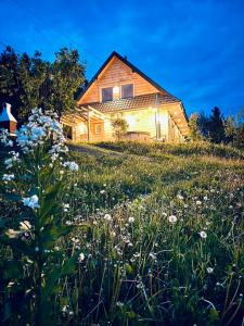 Bieszczady Beztroska Chata