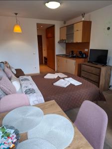 Cozy studio 125 in Villa Park