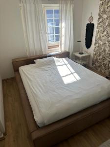 Zurich 2 rooms full lakeview, unique historic house share bath 40 m2