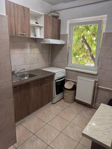 Hunedoara Central Stay