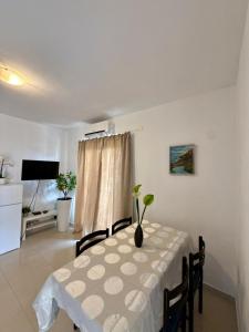Apartment Anić Milić