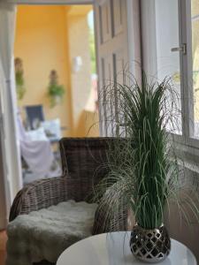 Altbau - Ferienwohnung mit sonniger Loggia im Schlossgebiet Plön