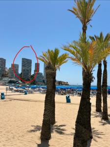 APARTAMENTO PLAYA DE BENIDORM Playa de Levante