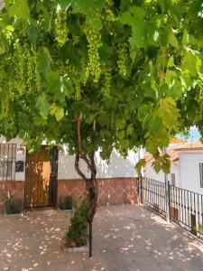 Charming House with Garden in Ardales, 70 m², 5 People