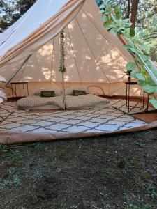 Żeremie Jurki Camp
