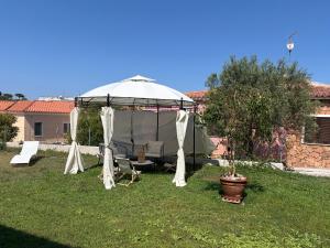 Appartamento Tartaruga img20