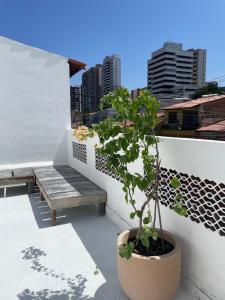 Casa Brigita. Fortaleza