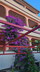 Irena&Dolores Apartments