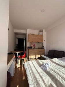 Apart Hotel TRIBU Bakuriani