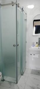 appartement forêt diplomatique