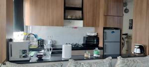 appartement forêt diplomatique