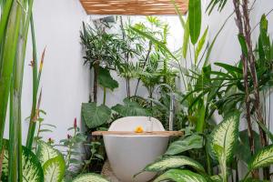 Villa Sana - 2 bedroom Jungle Oasis, Private Pool, 5 min to Nuanu & Beach