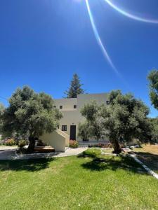 Nikos Apartments & Studios