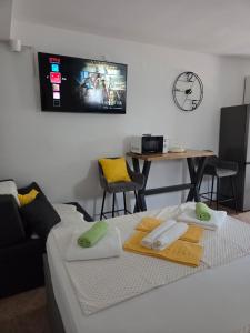 Modern Self - check in studio apartment near Paklenica National Park