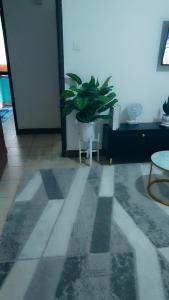 Kerry Luxury Stays