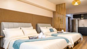 Tripleview luxurious eton baypark manila