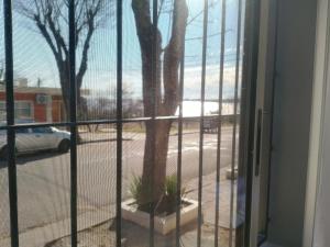 La casita de Tomi
