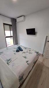 Perla 5, primera línea de playa y centrico