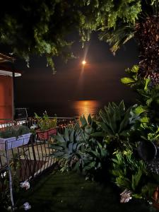 La FINESTRA sul MARE