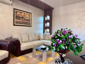 ARENA- One bedroom apartment-public FREE parking in front of building