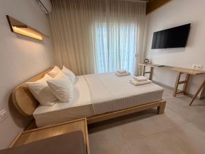 Aurora Suite