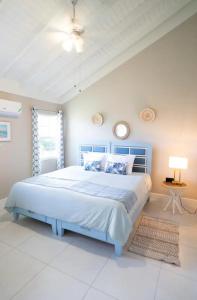 The Blue Jade Ocho Rios