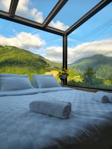 Merisi Horizon 2