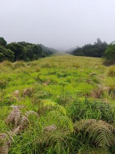 HostelExp, Munnar - A Bungalow Farm Experience