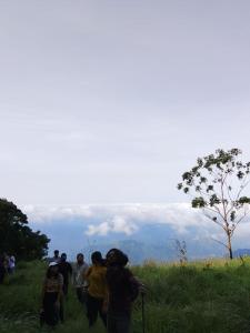 HostelExp, Munnar - A Bungalow Farm Experience