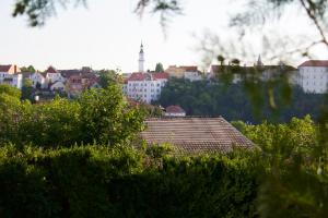 MadárFészek apartment nature and tranquility in the city