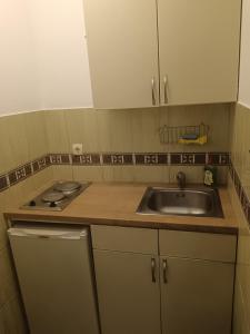 Pet Friendly Apartment Ground Floor