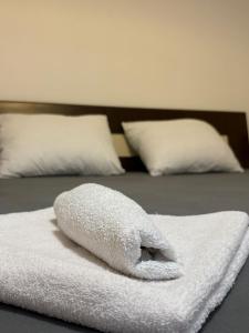 Apartman Teodora