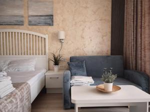 Studio Privat Reea Olimp