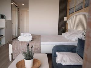 Studio Privat Reea Olimp