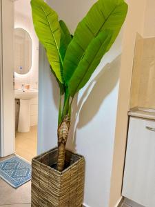 Paulas Apartment