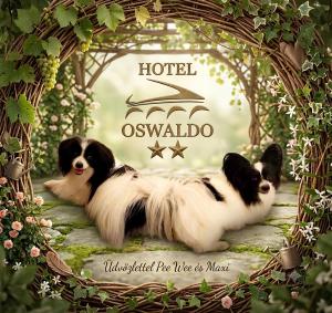 Hotel Oswaldo